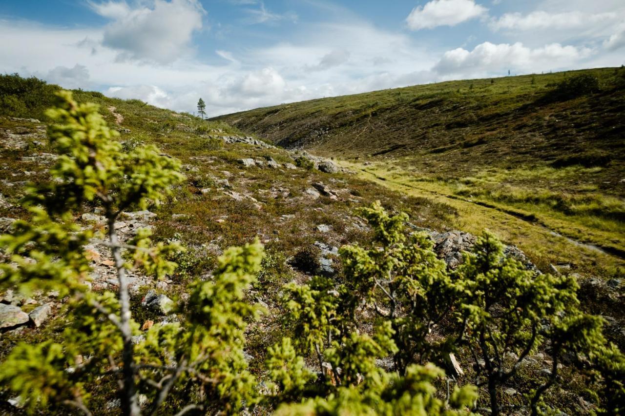 Norlight Cottages Ivalo - Tuli Esterno foto